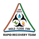 Rapid Recovery Team Tampa Profile Picture