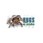 Bugs A Side Pest Control Profile Picture