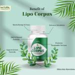 licocorpus Profile Picture