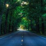 rihana john Profile Picture