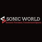Sonic World Profile Picture