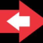 Yarin kimor Profile Picture