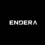 Endera Motors Profile Picture