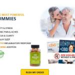 NancyeRawigart NancyeRawigart Profile Picture