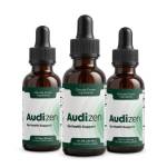 audi zen Profile Picture