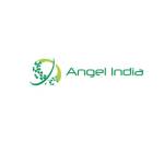Angel India Cad Cam Pvt Ltd Profile Picture