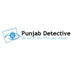 Punjab Detective Profile Picture