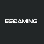 esgamingpc Profile Picture