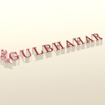 gulbhahar005 Profile Picture