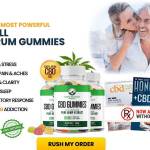 kathlebaker Profile Picture