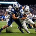 amanda zhou Profile Picture