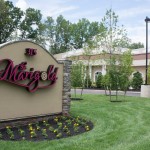 The Marigold Profile Picture