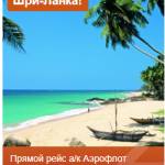 Ava Addams adam profile picture