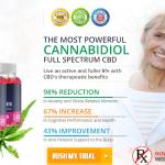 dianagilme Profile Picture