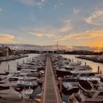 Marine Coat Profile Picture