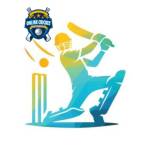 Online cricket Profile Picture