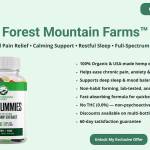 Sarahtoressr Profile Picture