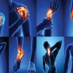 Veluflex Avis Profile Picture