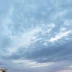 lead marketing Profile Picture