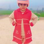 Nasir Ali Profile Picture