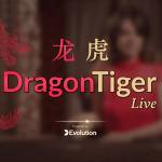 Dragon Tiger Profile Picture