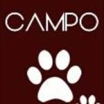 Campo Safaris Profile Picture