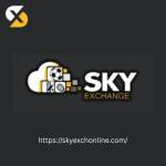 go exchange Profile Picture