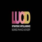 Lucid Strategic Intelligence Inc Profile Picture