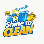 shineto clean Profile Picture