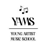 Young artist Music school Profile Picture