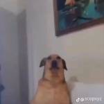 Hover456 Profile Picture