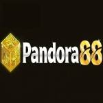 pandora88 pandora88 Profile Picture