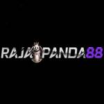 rajapanda88 rajapanda88 Profile Picture