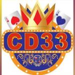 cd33 cd33 Profile Picture