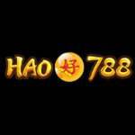 hao788 hao788 Profile Picture