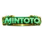 mintoto mintoto Profile Picture