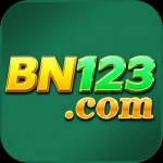 bn12 bn12 Profile Picture