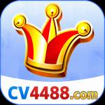 cv4488 cv4488 Profile Picture