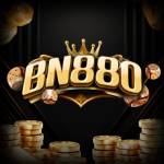 bn880 bn880 Profile Picture