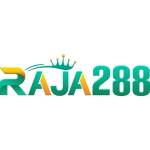 raja288 raja288 Profile Picture