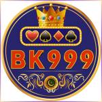 bk999 bk999 Profile Picture