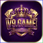 v9game v9game Profile Picture