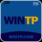 wintp wintp Profile Picture
