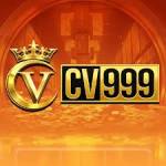 cv999 cv999 Profile Picture