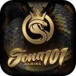 sona101 sona101 Profile Picture