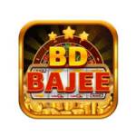 bdbajee bdbajee Profile Picture