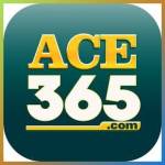 ace365 ace365 Profile Picture