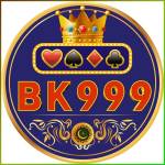 bk999 bk999 Profile Picture