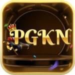 pgkn pgkn Profile Picture