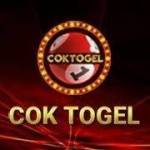 coktogel coktogel Profile Picture